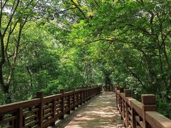 -紫金山山顶公园