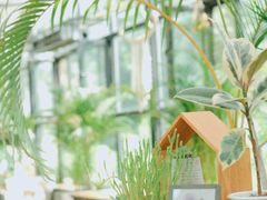 -北马山庄植趣咖啡