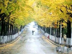 -大学路8号炸串(大学路十四号院店)
