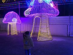 -新五爱道夜市