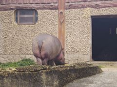-南昌动物园