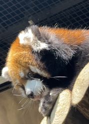 -Zoolung Zoolung动物主题公园(海信广场店)