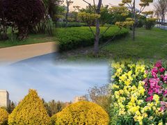 -大召寺明清一条街