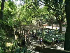 -灵岩山风景区