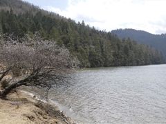 -碧塔海