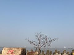 -上海滨江森林公园