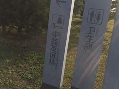 -洨河生态公园
