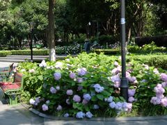 -常州古运河南大街文化旅游区-人民公园