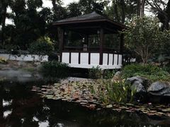 -深圳国际园林花卉博览园
