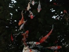 -龙源九号花园酒店(叶埠桥店)