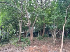 -宝莱纳啤酒花园餐厅PAULANER BRAUHAUS Nanjing(广州路店)