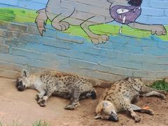 -西霞口神雕山野生动物世界