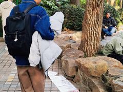 -人民公园-相亲角