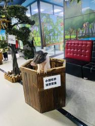 -未来动物城动物主题公园(大悦城店)