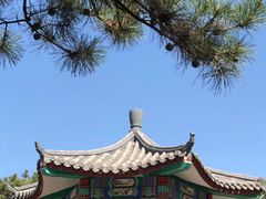 -丰台花园