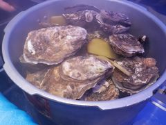 -千岛蚝高压锅生蚝·人参火锅(白云万达店)