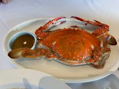 -开海·红岛海鲜虾水饺(石老人店)