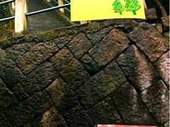 upload_pic-大明山自然探索公园