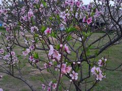 psbCAXFQEO5-苏州太湖牛仔风情度假村