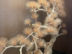 -花时·炭火烧肉(东百中心A馆店)
