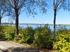 -呼兰河口湿地公园