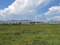 -敕勒川草原