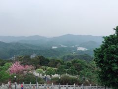 -高榜山景区