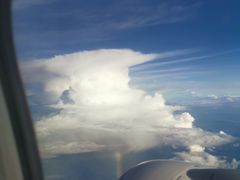 -快乐小羊(富强中路店)