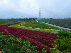 -紫颐香薰山谷景区