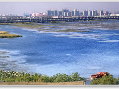 DSCN7592湖景阳台晨景-阳澄湖费尔蒙酒店