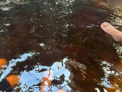 -中家鑫园温泉酒店鑫悦汤泉