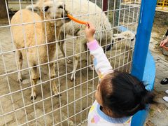 -武汉紫薇都市田园