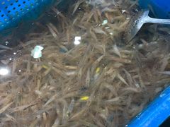 水白虾-盒马鲜生(悦峰店)