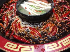 红白鸳鸯锅-矮板凳老火锅(宽窄巷子店)