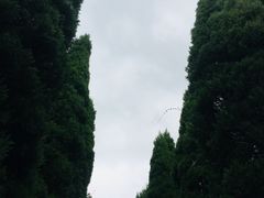 -青龙山公园