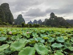 -明仕田园