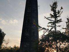 -上海佘山国家森林公园天马山园