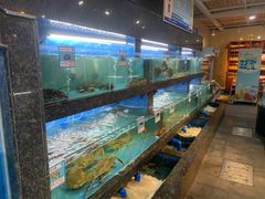 水产区-海棠湾聚鼎香海鲜坊(海昌梦幻不夜城店)