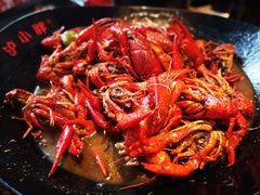 金牌麻小龙虾-沪小胖小龙虾(淮海中路旗舰店)