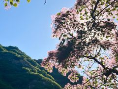-黑龙潭风景区