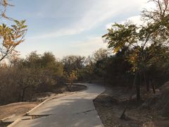 -白水寺森林公园