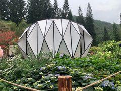 -深圳仙湖植物园