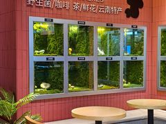 -芸山季·云南野生菌火锅(宝能环球汇店)