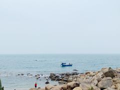 -广东惠东海龟国家级自然保护区