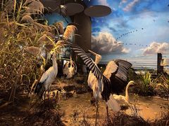 -中国湿地博物馆