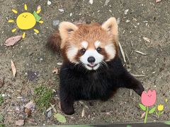 -杭州少年儿童公园