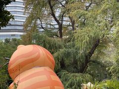 -广州兰圃
