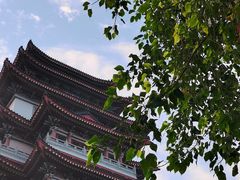 -合江楼