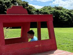 -济州森林小火车生态公园