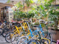 -大视光学•LINDBERG林德伯格•全球手工眼镜集合店(王府井店)